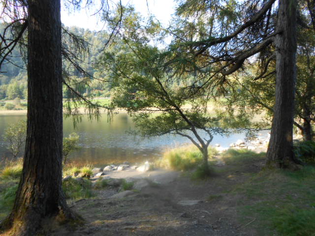 DSCN0341.JPG
